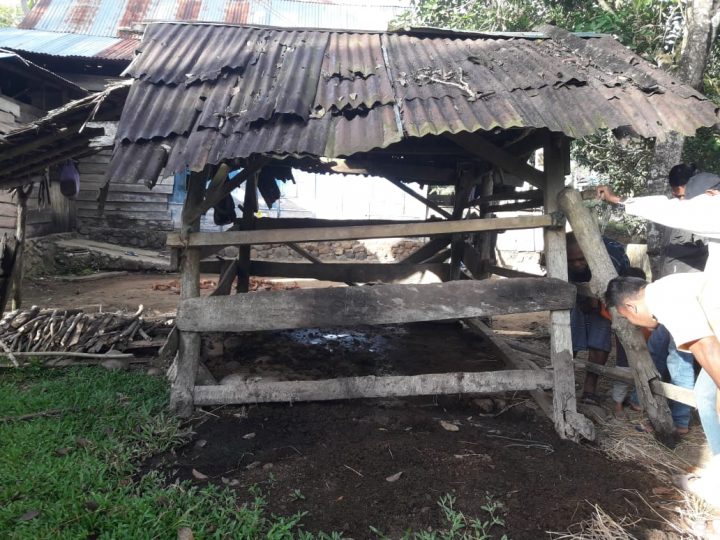pencurian ternak di tellulimpoe sinjai