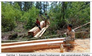 Kasus Illegal Logging dan Perdagangan Satwa Liar di Lindungi Siap di Limpahkan Gakkum KLHK ke JPU