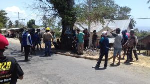 Ular Piton 6 Meter Nyaris Menyerang Pekerja, Warga Desa Sanjai Berlarian