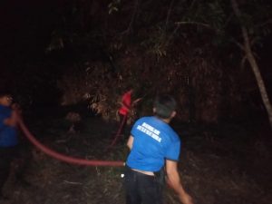 Kebakaran Lahan di Balampesoang, Diduga Dilakukan Lelaki Salam