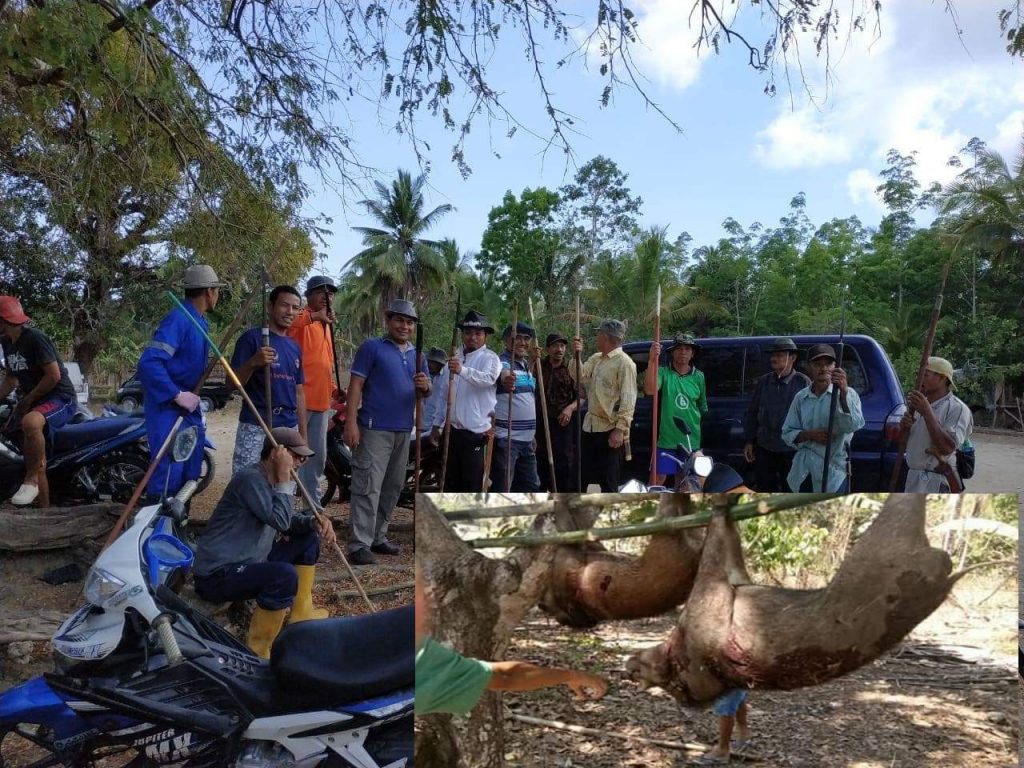 Bersama Kelompok Sinjai, Kades Lembang Lohe Pimpin Warganya Berburu Babi Hutan