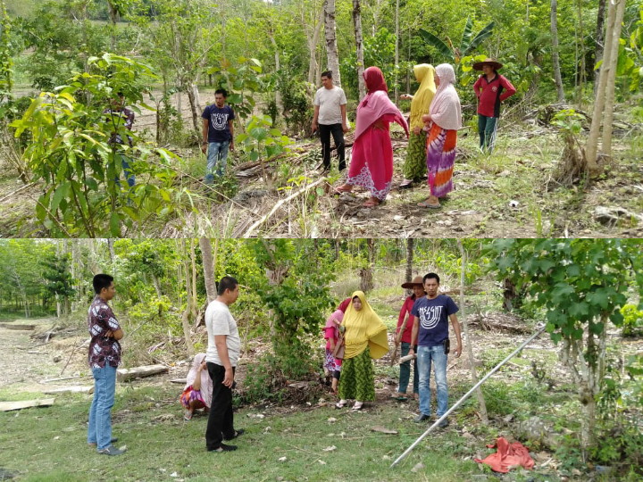 Kasus Pengrusakan Pohon Jati di Bontomangiring, Kanit Reskrim Tinjau Lokasi