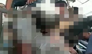 Pengendara Viar Tewas Tertimpa Tangkai Kayu Yang Menembus Dadanya