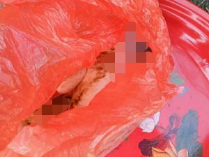 BREAKING NEWS: Diduga Sengaja dibuang, Bayi Perempuan Ditemukan di Pinggir Jalan Kota Bulukumba