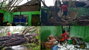 Akibat Angin Kencang Disertai Hujan Deras, Rumah Warga Tibona Hancur Tertimpa Pohon Besar