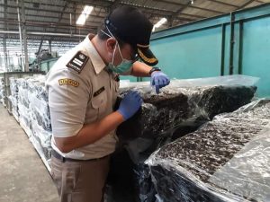 Laju Ekspor Hasil Pertanian Ke 4 Negara Senilai 14.8 Miliar Rupiah Disertifikasi Karantina Pertanian Cilegon