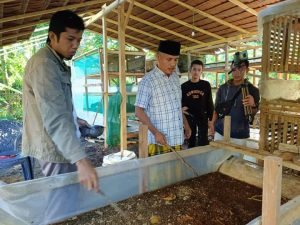 Bentuk Apresiasi, Wabup Konsel Rasyid Kunjungi Budidaya Maggot Warga Desa Amasara