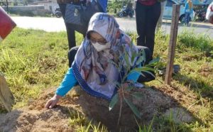 Peringati HLHS, Pemkot Kendari Gelar Lomba Memungut Sampah di Laut dan Penanaman Pohon