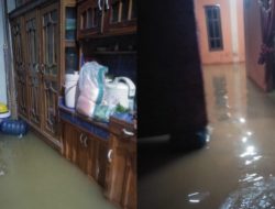 Diguyur Hujan Sore Hingga Malam, Belasan Rumah di Topoya Terendam Banjir
