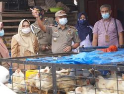 Jelang Idul Adha, Gabungan OPD Kolaka Utara Pantau dan Awasi Kebutuhan Pokok