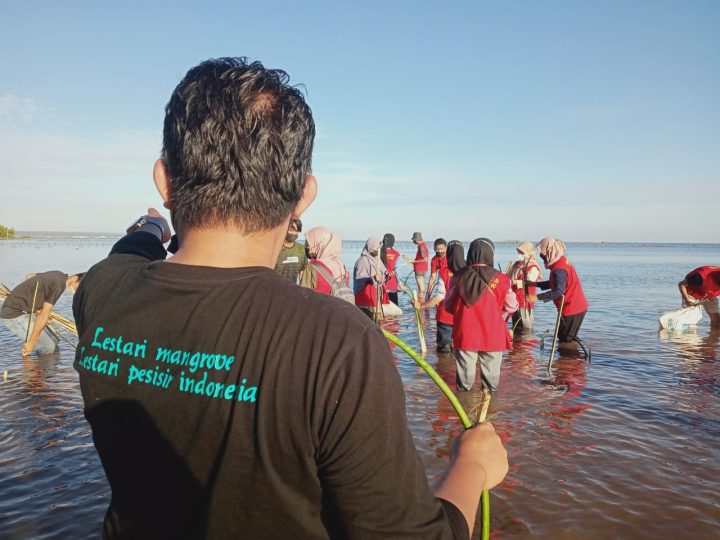 Para mahasiswa KKN Unhas saat turun di air menanam pohon bakau di lokasi wisata luppung manyampa, Senin (26/07/2021)