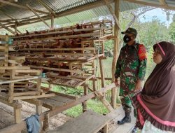 Motivasi UMKM Warga, Babinsa Lainea Sambangi Peternak Ayam Petelur di Wilayahnya