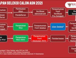 Kelulusan Berkas CPNS di Umumkan, Begini Cara Mengetahuinya