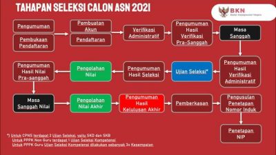 Kelulusan Berkas CPNS di Umumkan, Begini Cara Mengetahuinya