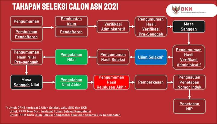 Gambar petujuk tahapan penerimaan CPNS 2021