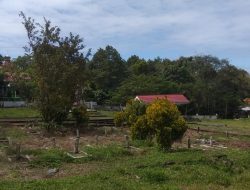 Respon Aktif Karang Taruna Sipakatau Menyambut HUT RI Ke-76