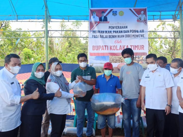 Didampingi Pj.Sekda dan OPD, Bupati Kolaka Timur, Andi Merya Nur, S.Ip menyerahkan bantuan bibit, pakan dan pompa kepada pengelola BBI Mowewe,