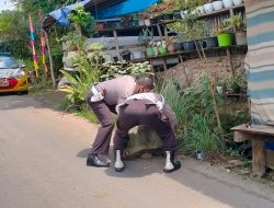 Antisipasi Kecelakaan, Polsek Bulukumpa Bersihkan Batu Besar di Badan Jalan