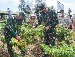 Bersama Masyarakat Perbatasan, Danrem 172/PWY Lakukan Panen Raya