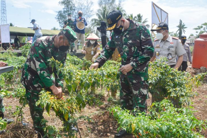 Bersama Masyarakat Perbatasan, Danrem 172/PWY Lakukan Panen Raya