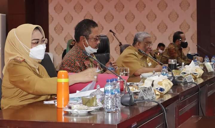 Bersama Komisi VI DPR-RI (Rusda Mahmud), Gubernur Sultra Bahas Pengembangan dan Implementasi Rencana Umum Energi Daerah