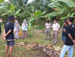 Badan Karantina Kemenpan Sulbar lakukan Pendataan dan Sosialisasi Program Petani Millennial