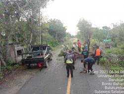 Sigap, Ketua Regu 3 TRC BPBD Bulukumba Pimpin Tim Eksekusi Pohon Tumbang