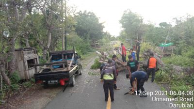 Ketua Regu 3 TRC BPBD Bulukumba Pimpin Tim Eksekusi Pohon Tumbang