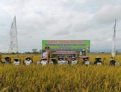 Hadiri Panen Raya Padi Paket Teknologi Biota, Bupati Sidrap Serahkan Penghargaan