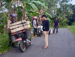 Operasi Cipta Kondisi, Polres Sinjai Amankan Puluhan Liter Ballo