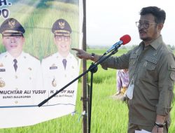 Kunker Ke Bulukumba Mentan SYL Punya Harapan Besar Pada Utta-Edy Manaf