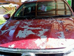 Diduga Disiram Air Keras OTK, Body Mobil Sekdes Kaloloa Terkelupas Cukup Parah
