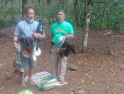 Beraksi di Bulan Ramadhan, Kapolsek Kajang Pimpin Penggerebekan Lokasi Judi Sabung Ayam