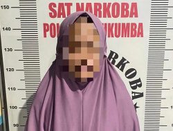 Kasat Narkoba Polres Bulukumba Pimpin Penangkapan IRT Terduga Pelaku Penyalahgunaan Narkotika Di Herlang