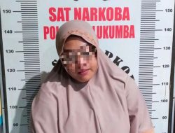 Lagi, Seorang Ibu Rumah Tangga Diamankan Satuan Narkoba Polres Bulukumba
