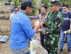 Tingkatkan Produktivitas Petani, Dandim 1410 Hadiri Gerakan Tanam Bawang di Uluere