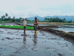 Semangat Babinsa Kodim 1410, Bantu Petani Wujudkan Hanpangan di Desa Binaannya