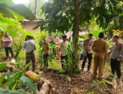 Personel Polsek Bulukumpa Datangi TKP Penemuan Mayat Bayi di Kebun Warga Desa Jojjolo