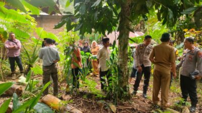 Personel Polsek Bulukumpa Datangi TKP Penemuan Mayat Bayi di Kebun Warga Desa Jojjolo