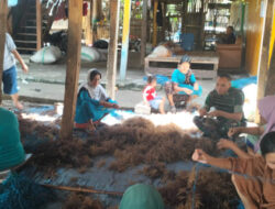 Babinsa Kodim 1410/Bantaeng Korem 141/Tp Lakukan Pendampingan UMKM Sektor Rumput Laut