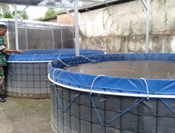 Budidaya Ikan Air Tawar, Kodim 1410 Bantaeng Gunakan Sistem Bioflok