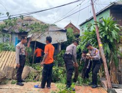 Pohon Tumbang Timpa Rumah Warga, Polisi dan BPBD Lakukan Evakuasi