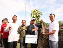 Hari Lingkungan Hidup Sedunia, 1000 Pohon Dipersembahkan Pemkab Bantaeng Untuk Dunia