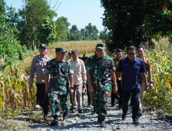 Dukung Hanpangan Nasional, Pangdam XIV/Hsn Tinjau Lokasi Pompanisasi Sawah Tadah Hujan di Pangkep