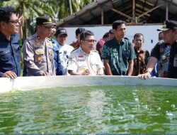 Pj Gubernur Bahtiar Bersama Rombongan Mengunjungi UPTD BBIP Majene
