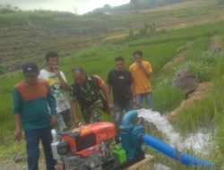 Pastikan Berfungsi Dengan Baik, Babinsa Koramil 01/Bissappu Dampingi Petani Cek Kondisi Pompa Kubota