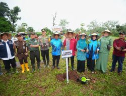Gerakan Sulsel Menanam, Pemprov Sulsel Beri Bantuan Bibit Pohon ke Kab. Bantaeng