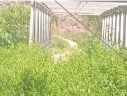Proyek Jembatan Wae Musur Mangkrak, Bupati Berganti Tanpa Penyelesaian