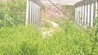 Proyek Jembatan Wae Musur Mangkrak, Bupati Berganti Tanpa Penyelesaian