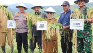 Lutim Terlibat dalam Panen Raya Nasional, Wabup Puspawati: Petani Adalah Pahlawan Ketahanan Pangan